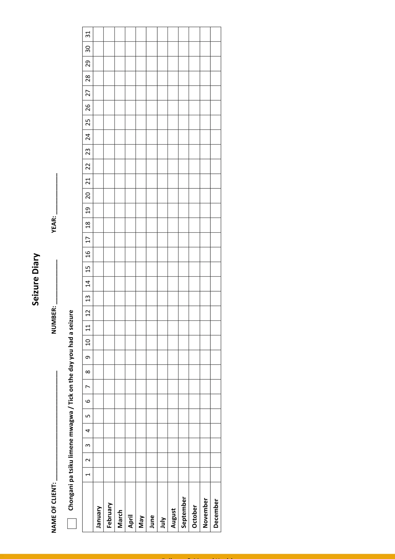 Seizure Diary — monthly tracking tool
