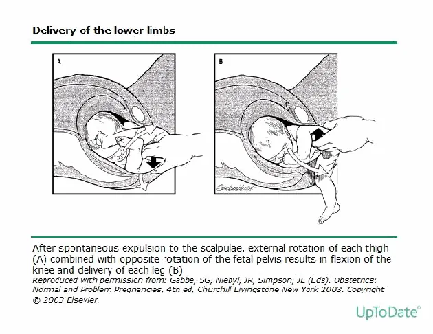 Figure from the guideline