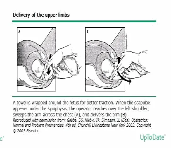Figure from the guideline
