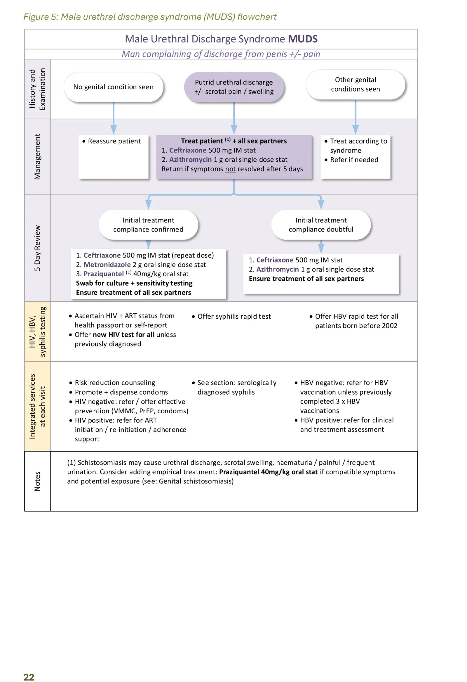 Figure from the guideline